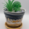 flower pot with succulents