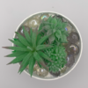 flower pot with succulents